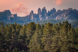 Views of the famous cathedral needle spires, directly from your backyard!