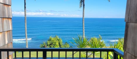Watch whales or surfers from the Lanai
