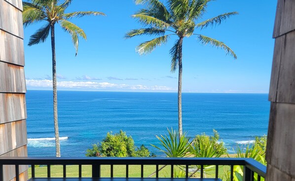 Watch whales or surfers from the Lanai