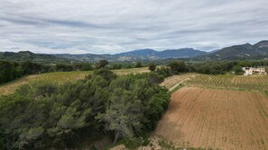 DJI 0166