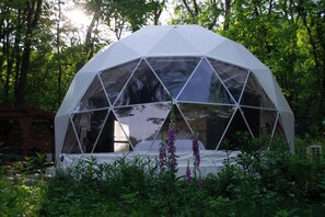 Front of dome