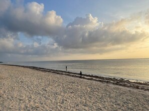 Beach/ocean view
