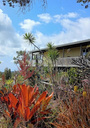 Looking up from the Koi pond to the lanai