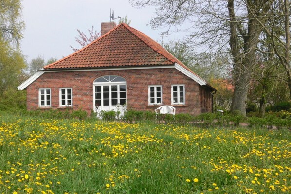 Außenseite Ferienhaus [Sommer]