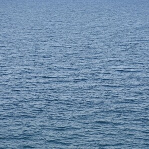Rum