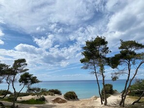 Sani sandy beach -1km from the property