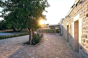 Autumn, Balcony / Terrace / Patio, Building Exterior, Outdoor, Spring, Summer