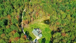 Aerial view with pond