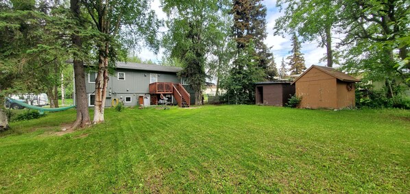 Backyard