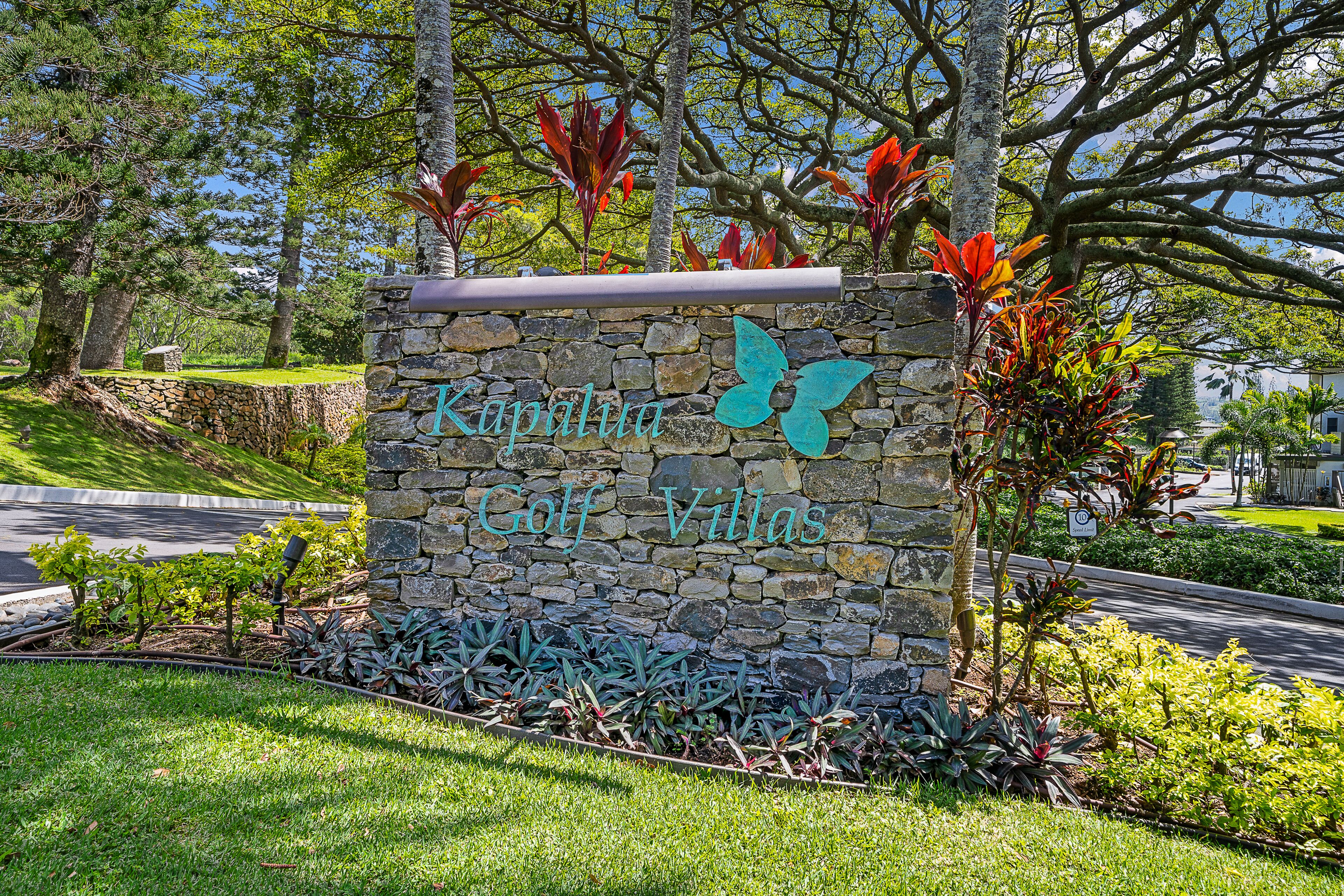 Kapalua Ziplines recently relocated into newly renovated