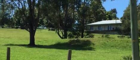 The Homestead