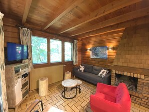 Living room with fireplace