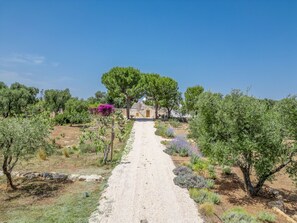 Accommodation