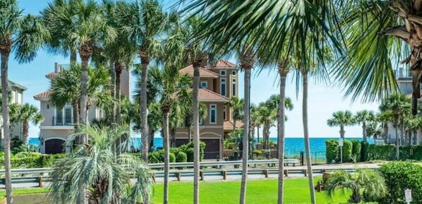 Soak in the tropical vibe with the palm lined views of our luxe villas.