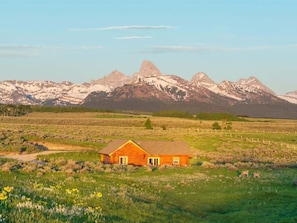 The unobstructed Teton views are unmatched! Rolling hills of sage, wildflowers, and the occasional wildlife friends can be found nearby.