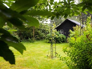 Trädgård [sommar]