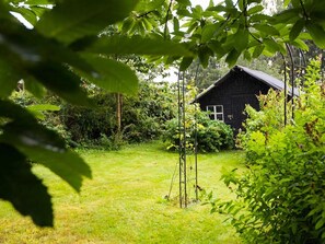 Jardin [été]