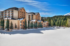 Right next to the ski trails on Peak 9
