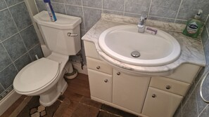 Downstairs toilet and basin