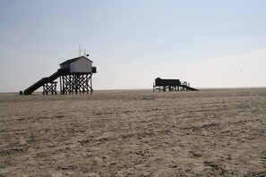 Immediate Surroundings [summer] (&lt;1 km)