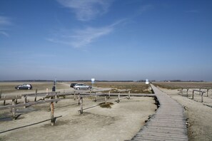Immediate Surroundings [summer] (&lt;1 km)