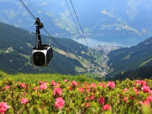 Immediate Surroundings [summer] (<1 km)
