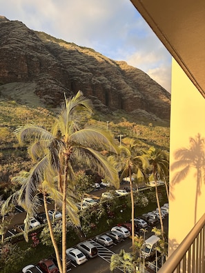 Vistas desde el alojamiento