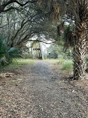 Beach access