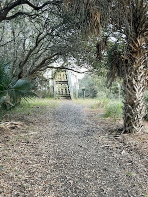Beach access