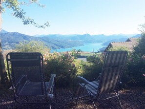 Trädgård [sommar]