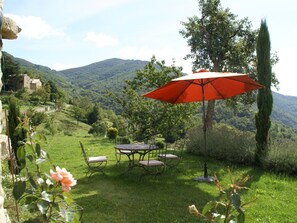 Jardin [été]
