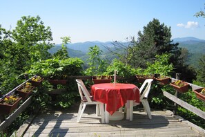 Terrasse / Balkon