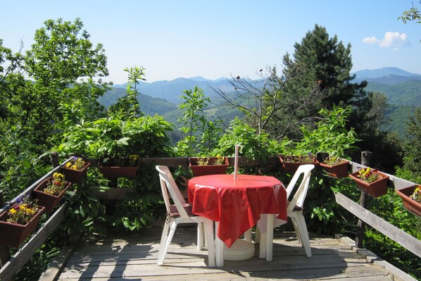 Terrasse / Balkon