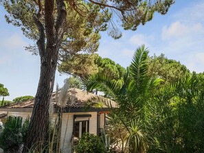 Stugans exteriör [sommar]