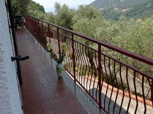 Patio / Balcony