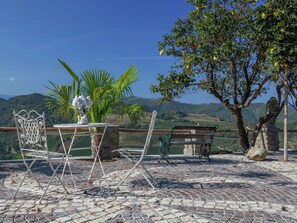 Terrasse / Balkon