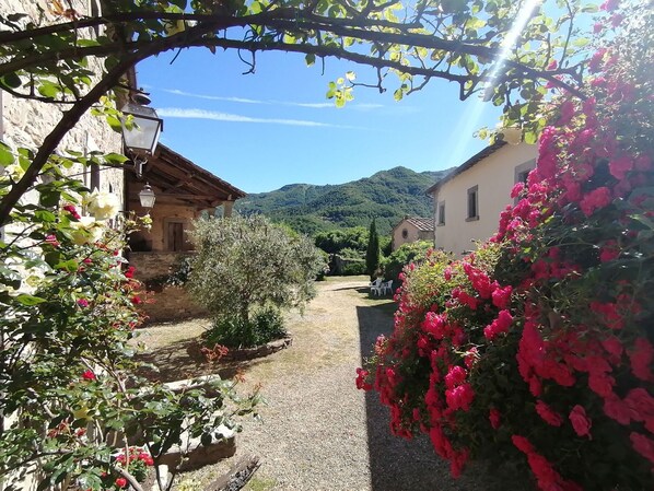 Extérieur maison de vacances [été]