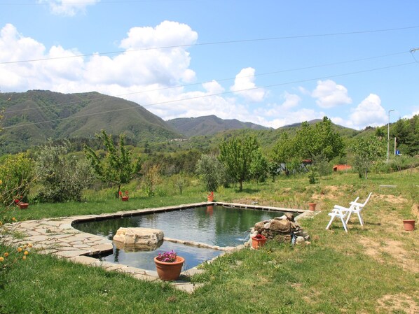 Holiday Home Swimming Pool