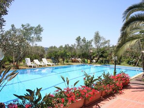 Holiday Home Swimming Pool