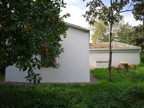 Stugans exteriör [sommar]