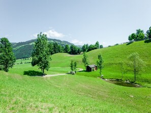Immediate Surroundings [summer] (<1 km)