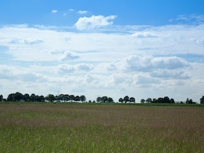 Surroundings [summer] (1-5 km)
