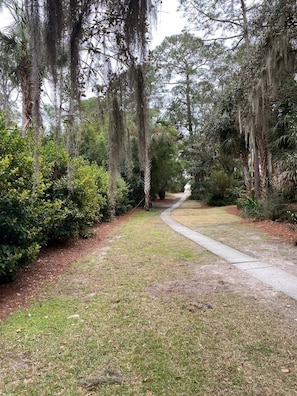 Paved Pathway from Home to Beach. 3 Minute Walk!