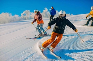 Wintersport/Ski