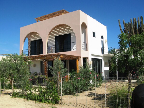 Casa Vizcaino with pink arches, olive trees, rosemary, lavender and cardon cacti