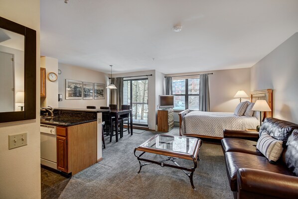 Living Room/Bedroom