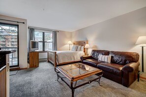 Living Room/Bedroom