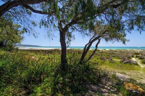 Quindalup Beach (just across the road!)