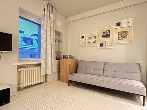 Living room and sofa bed