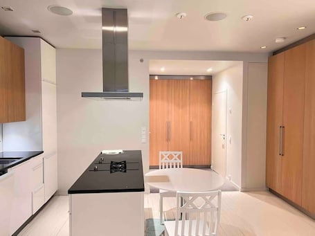 Kitchen and entrance